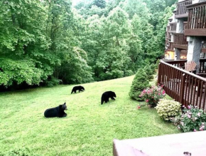 VIEWS & FIREPLACE - Minutes to Gburg and Ober - Condo Gatlinburg